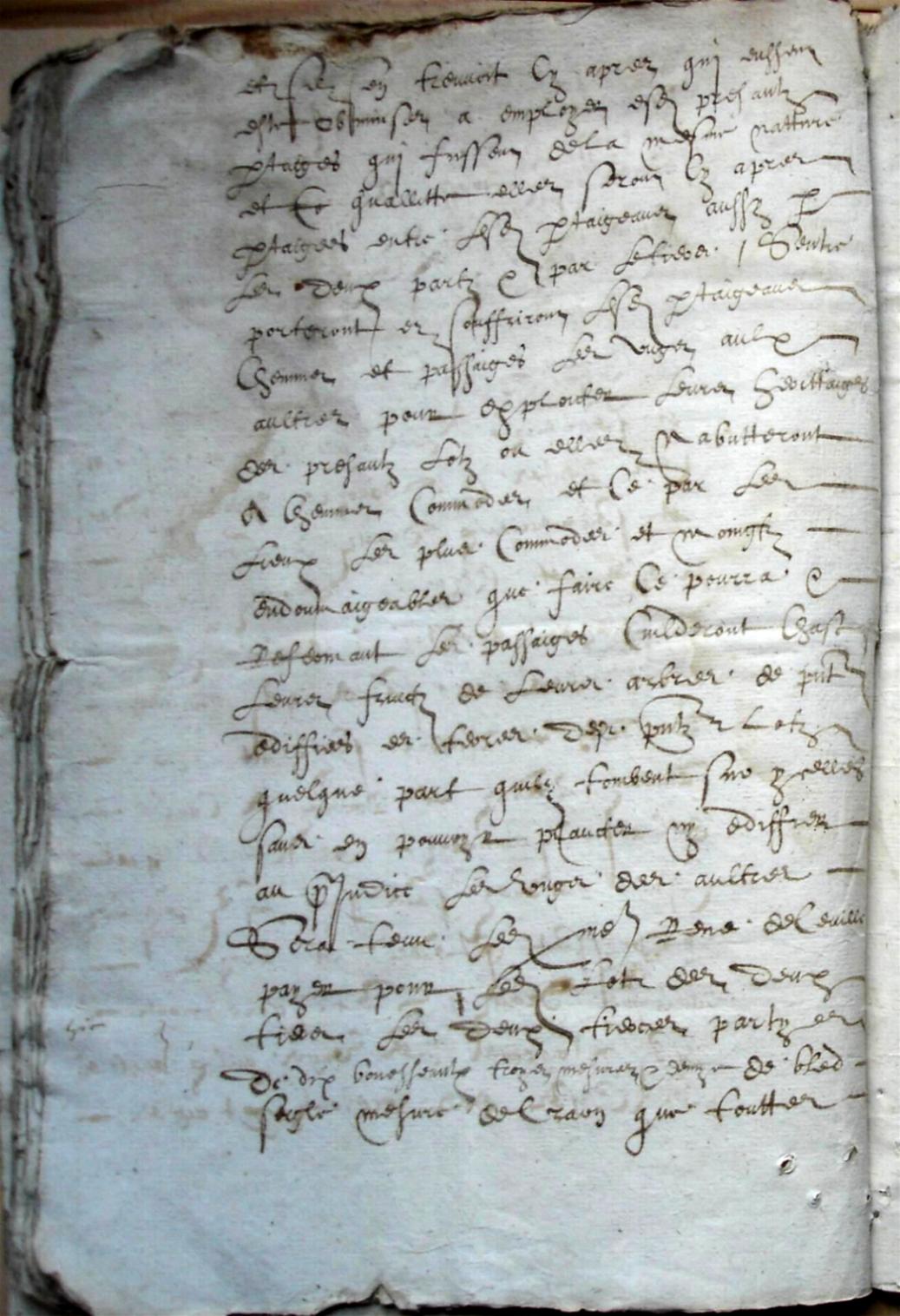 Ceville-Jean_1618 (16).JPG